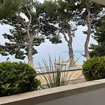 Ankora * Μακάρσκα