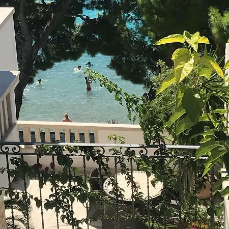 Ankora Apartment