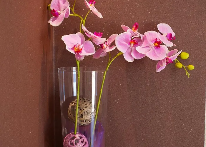 Διαμέρισμα Ankora Μακάρσκα